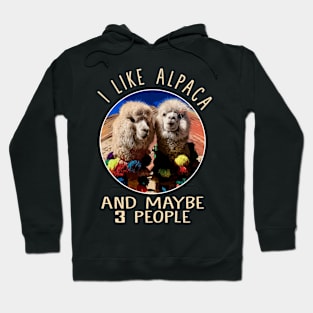 Alpaca Admiration Stylish Tee Celebrating the Charm of Andean Alpacas Hoodie